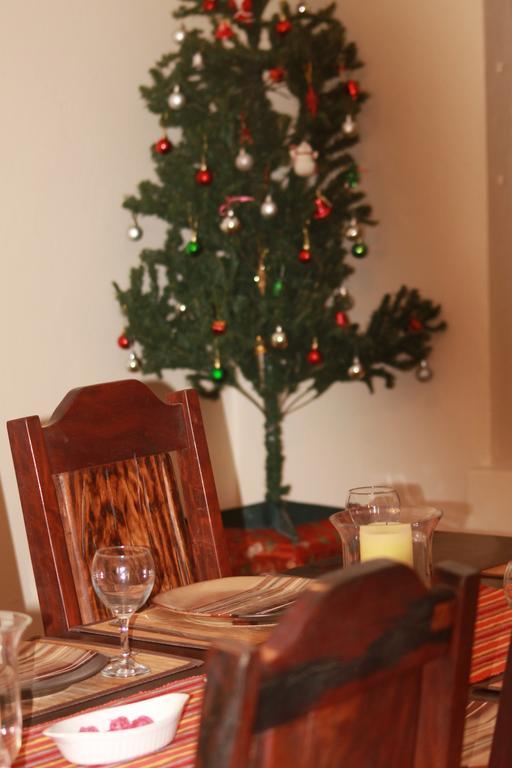 Grysbok Self Catering Accommodation Oudtshoorn Εξωτερικό φωτογραφία