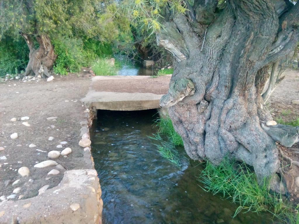 Grysbok Self Catering Accommodation Oudtshoorn Εξωτερικό φωτογραφία