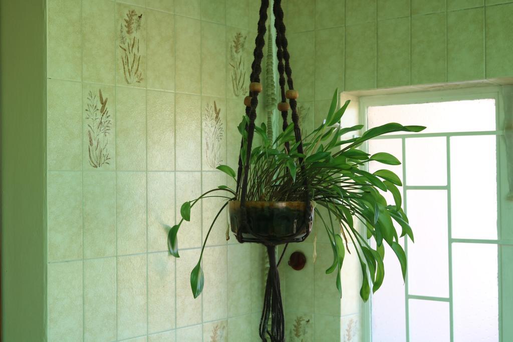 Grysbok Self Catering Accommodation Oudtshoorn Εξωτερικό φωτογραφία